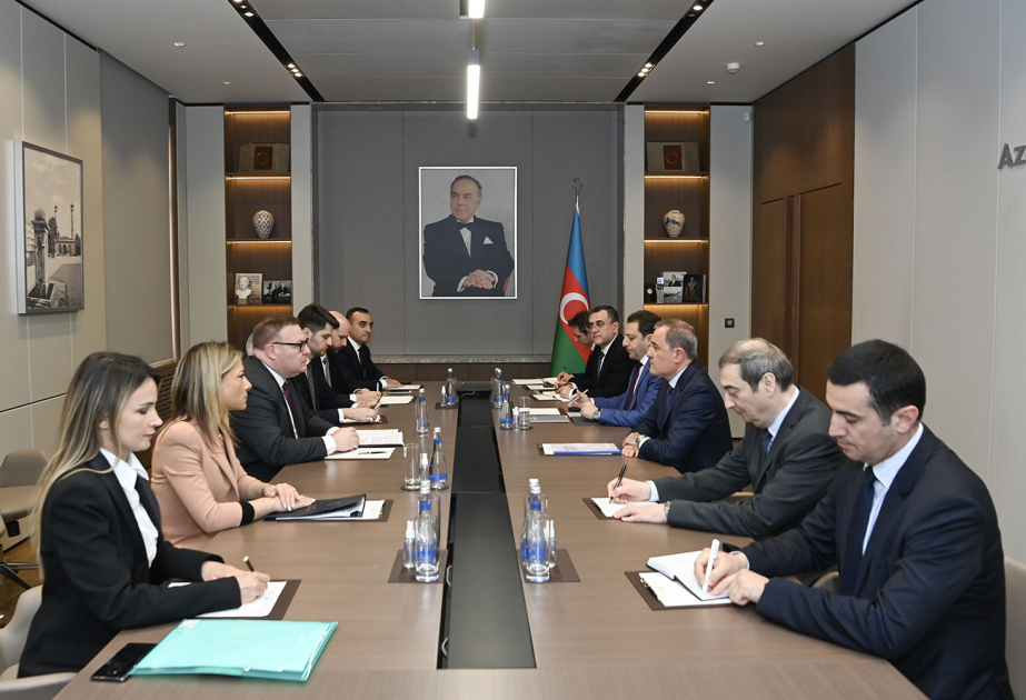 Se celebraron consultas políticas entre los Ministerios de Asuntos Exteriores de Azerbaiyán y Montenegro