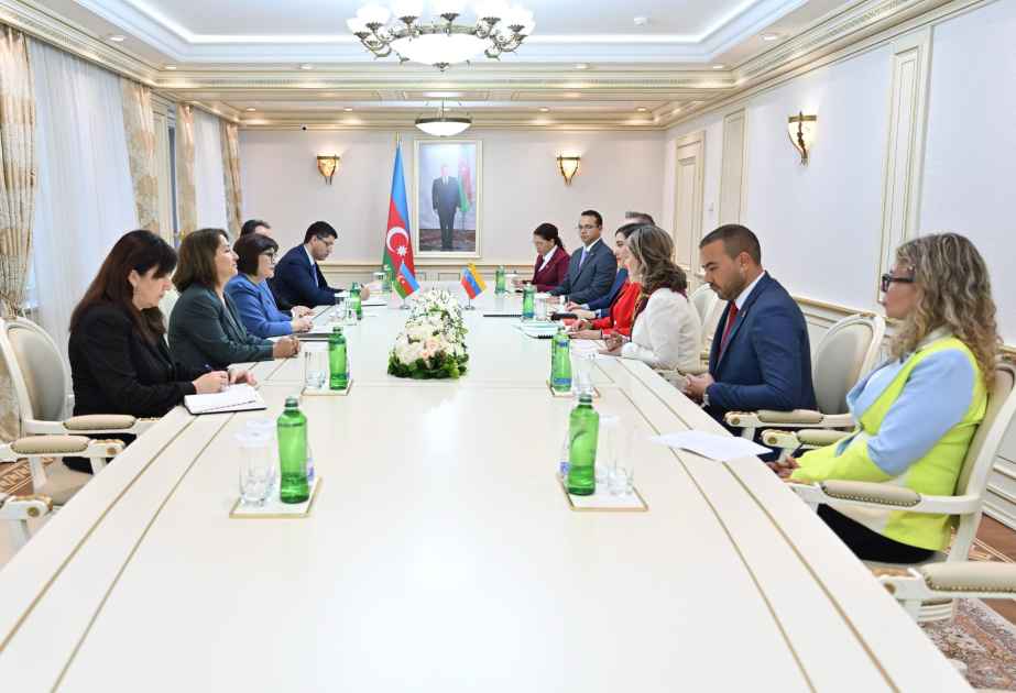 Venesuela Milli Assambleyası sədrinin müavini Milli Məclisdə olub