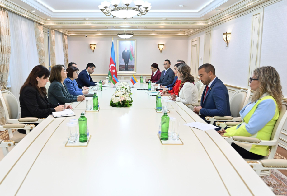 Speaker of Azerbaijan’s Milli Majlis meets with Vice Speaker of Venezuela’s National Assembly