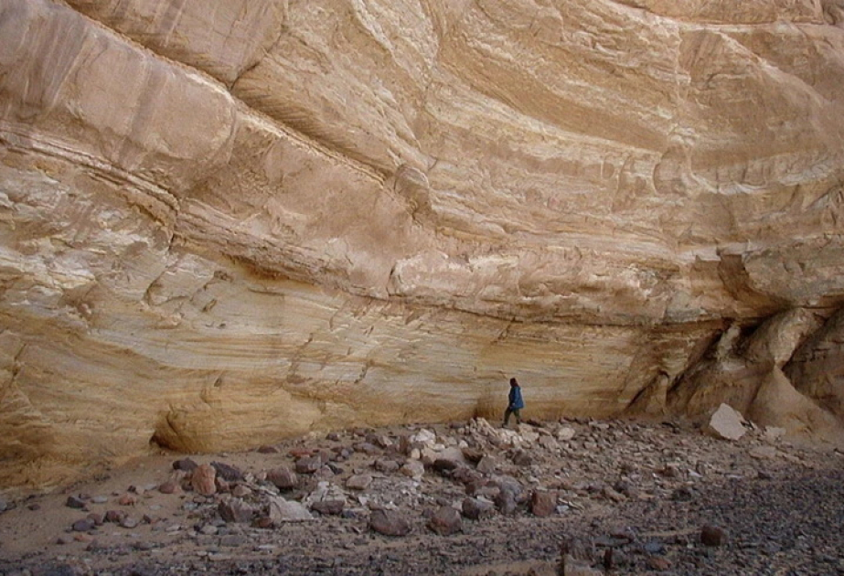 Revealed: first DNA profiles of ancient people who roamed a lush Sahara
