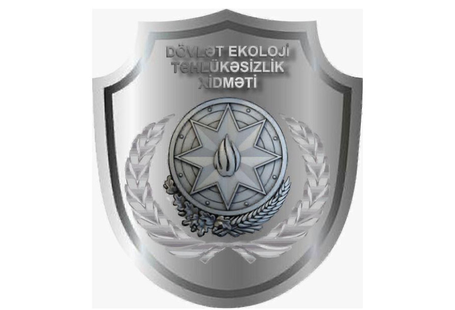 Yaşıllıqların qanunsuz kəsilməsi ilə bağlı təbiətə 99 min manatadək ziyan dəyib