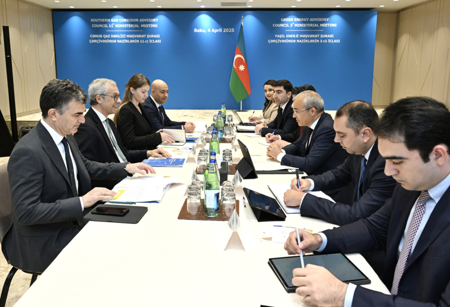 Azerbaijan, ACWA Power discuss seawater desalination project