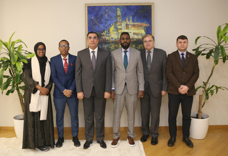 Somali Bələdiyyə İşçiləri Birliyinin prezidenti BANM-də olub