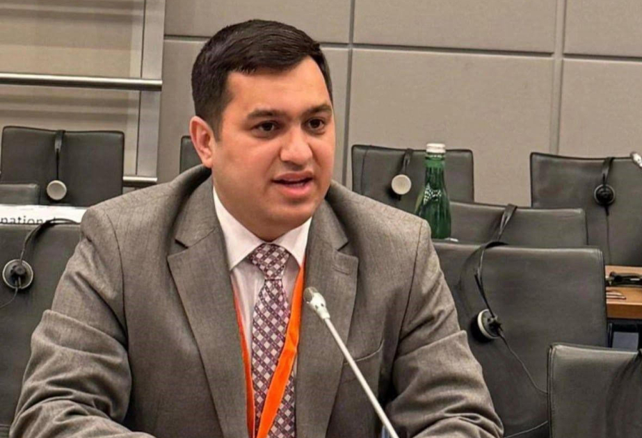 Almaniya Prezidentinin səfəri dialoqun genişlənməsi baxımından mühüm nəticələrə səbəb olacaq  ŞƏRH