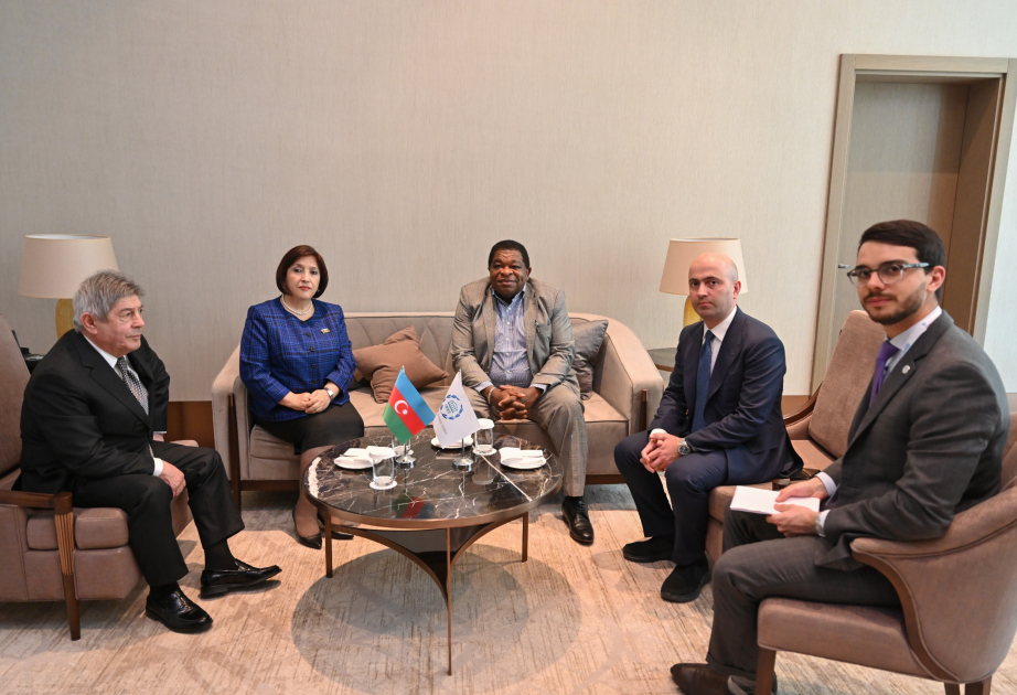 Speaker of Azerbaijani Parliament meets with IPU Secretary General