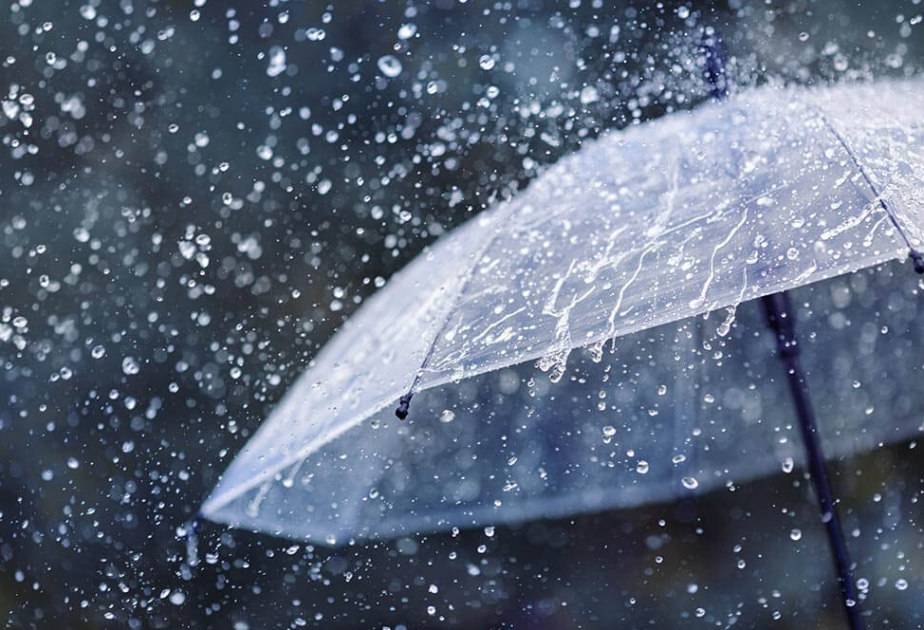 预警：将有阵雨和雷雨