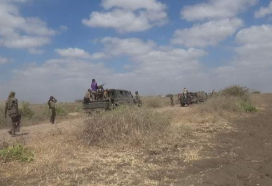 Somali ordusu terrorçu qruplaşmanın 20-dən çox üzvünü zərərsizləşdirib