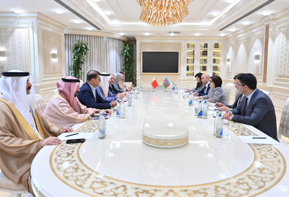 Se ha establecido una cooperación eficaz entre los órganos legislativos de Azerbaiyán y Bahréin