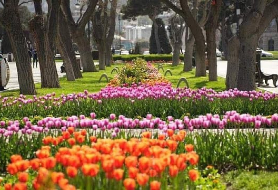 Paytaxtda hava əsasən yağmursuz, bəzi dağlıq ərazilərdə isə yağıntılı olacaq