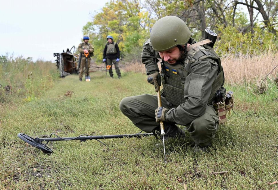 Разминирование в Украине: есть позитивные итоги
