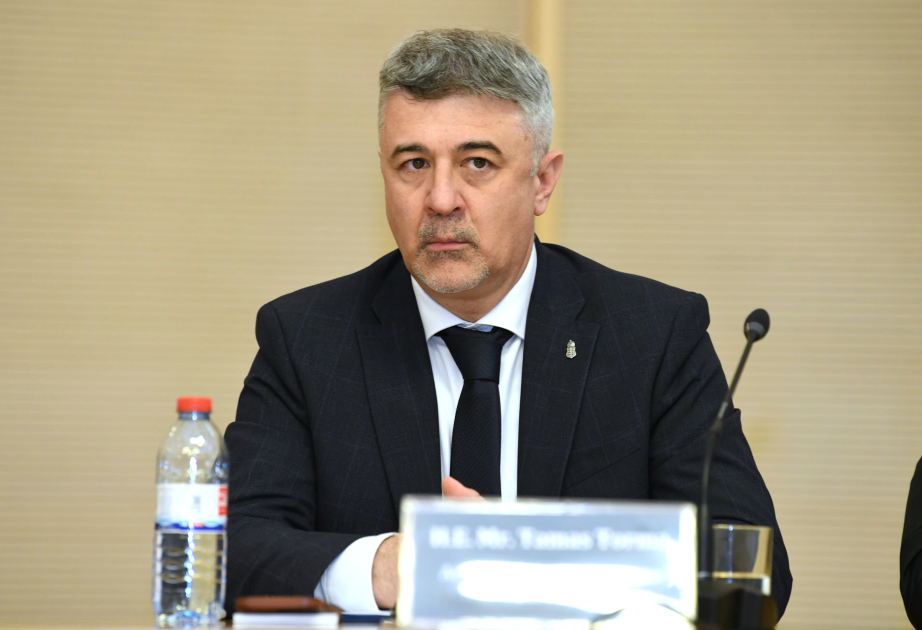 Səfir: Azərbaycan təkcə Mərkəzi deyil, bütün Avropa qitəsinin enerji təhlükəsizliyində əsas rol oynayır VİDEO