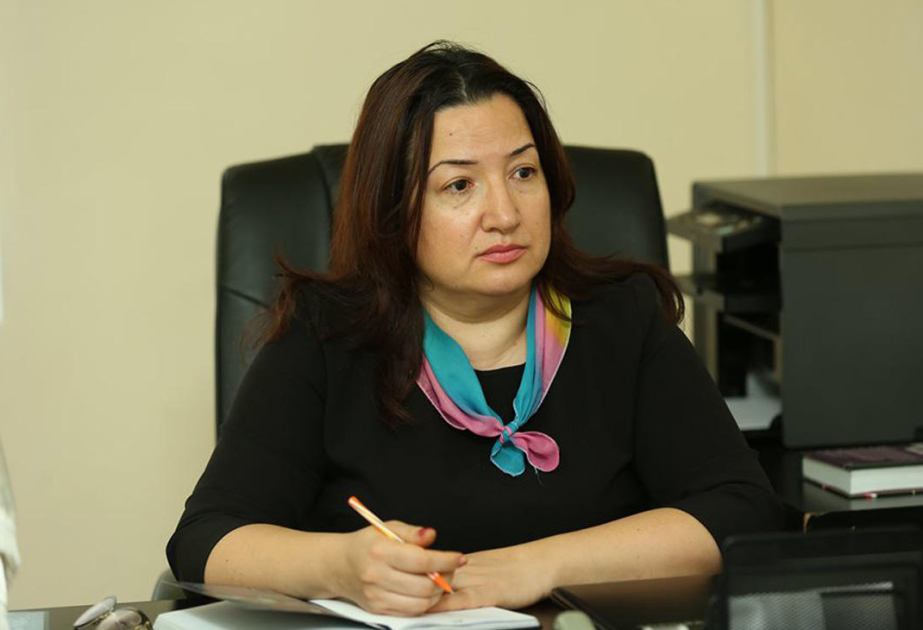 Azərbaycan Cənub Qaz Dəhlizi və yaşıl enerji ilə qlobal tərəfdaşlığını gücləndirir  ŞƏRH