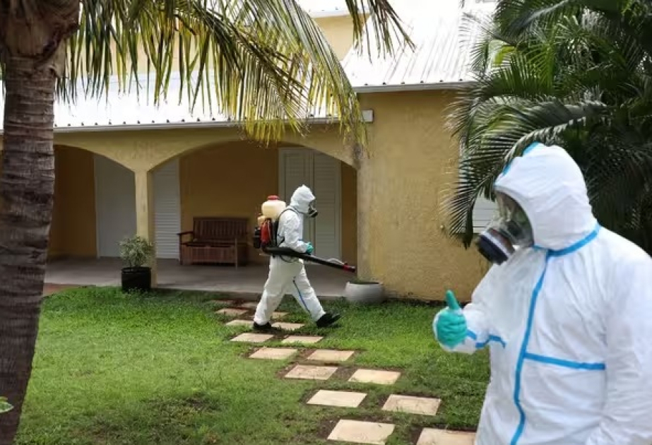 Reyunyon: Çikunqunya epidemiyasından ölənlər var