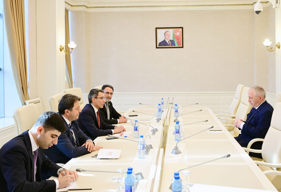 Miembros de los Parlamentos azerbaiyano y británico discutieron las posibilidades de cooperación bilateral