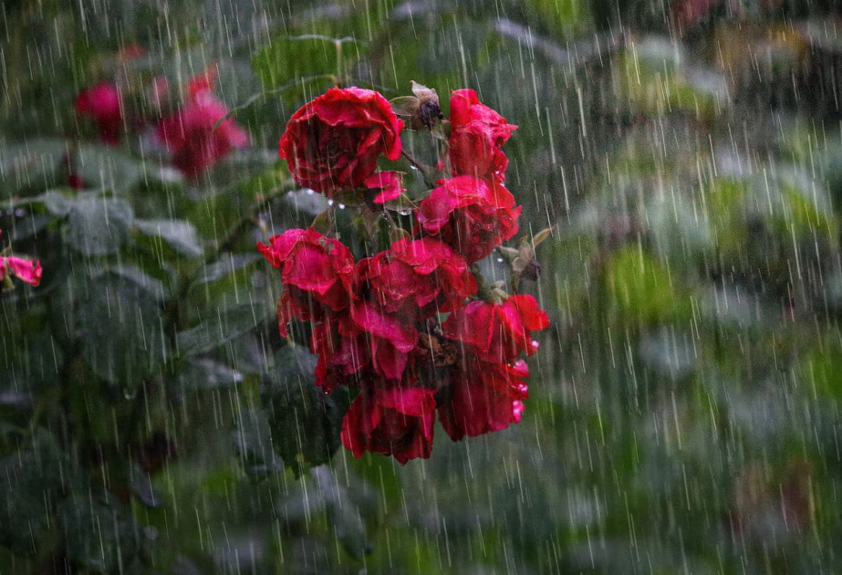 预警：4月8日至12日北部和西部地区预计有降雨和雷雨