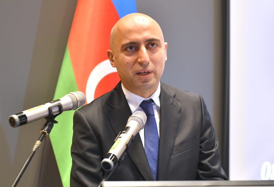 Emin Əmrullayev: Azərbaycanda bəzi elmi qurumlar il ərzində cəmi bir məqalə dərc edirlər
