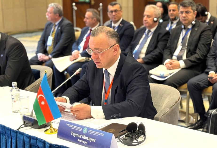 Teymur Musayev: Türk Dövlətləri Təşkilatı regional əməkdaşlığın dərinləşməsində mühüm rol oynayıb