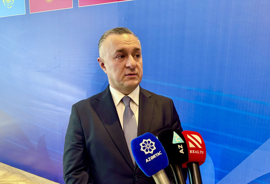 Teymur Musayev: TDT üzv ölkələrinin 200 milyona yaxın əhalisi səhiyyə investisiyaları üçün böyük maraq yaradır
