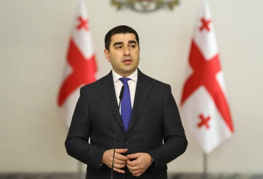 Gürcüstanda partiyaların, QHT-lərin və siyasətçilərin xaricdən maliyyə yardımı alması qadağan olunur