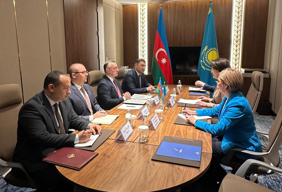 Azerbaijan`s Health Minister holds series of meetings in Astana