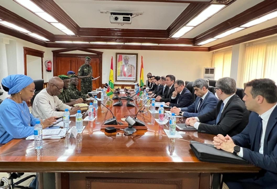 Azerbaijan, Guinea explore prospects for political & economic cooperation