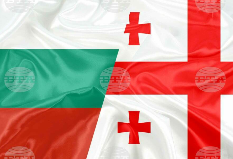 Bulgarian Cabinet introduces visas for holders of Georgian diplomatic, service passports