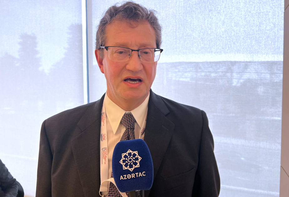 Professor Rik Faun: Qarabağın bərpası və regional perspektivlər forumda geniş müzakirə olundu