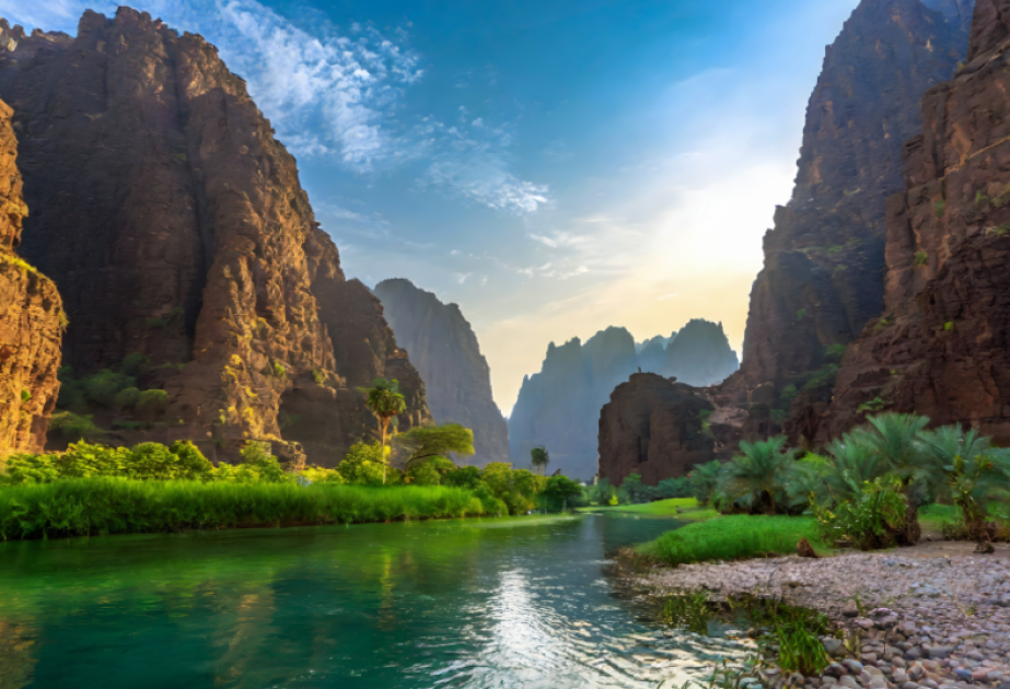Saudi Arabia once a green oasis: study