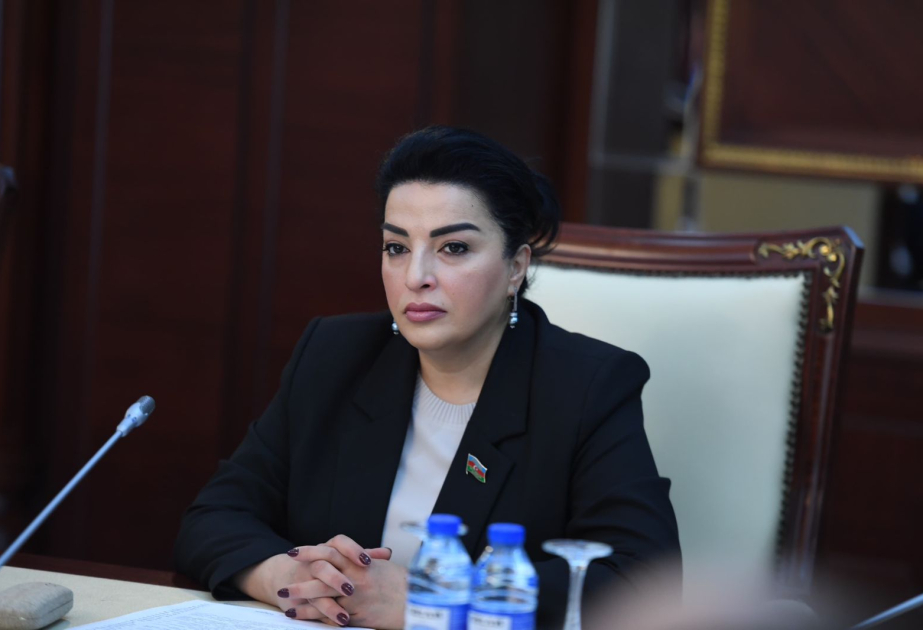 Ölkəmizin beynəlxalq arenada artan rolu və yeni dünya nizamındakı yeri ŞƏRH