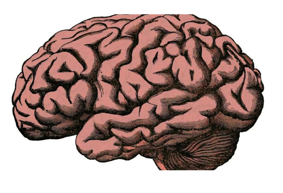 Eight or more drinks per week linked to signs of injury in the brain