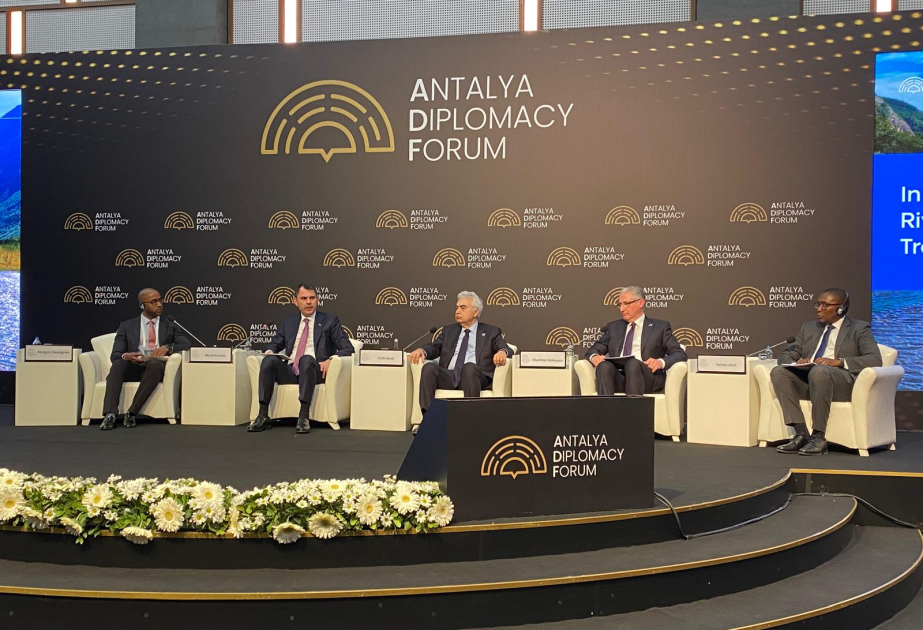 Antalyada yeni dövrdə iqlim diplomatiyası və enerji təhlükəsizliyi mövzusu müzakirə edilib