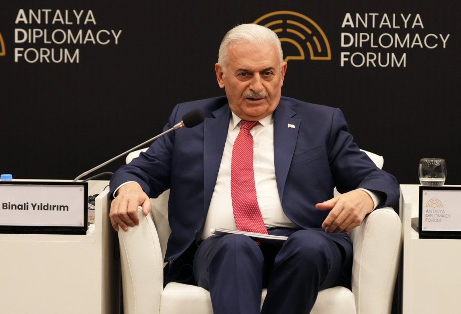 Binəli Yıldırım: Qarabağ Zəfəri ilə Türk dünyası canlandı
