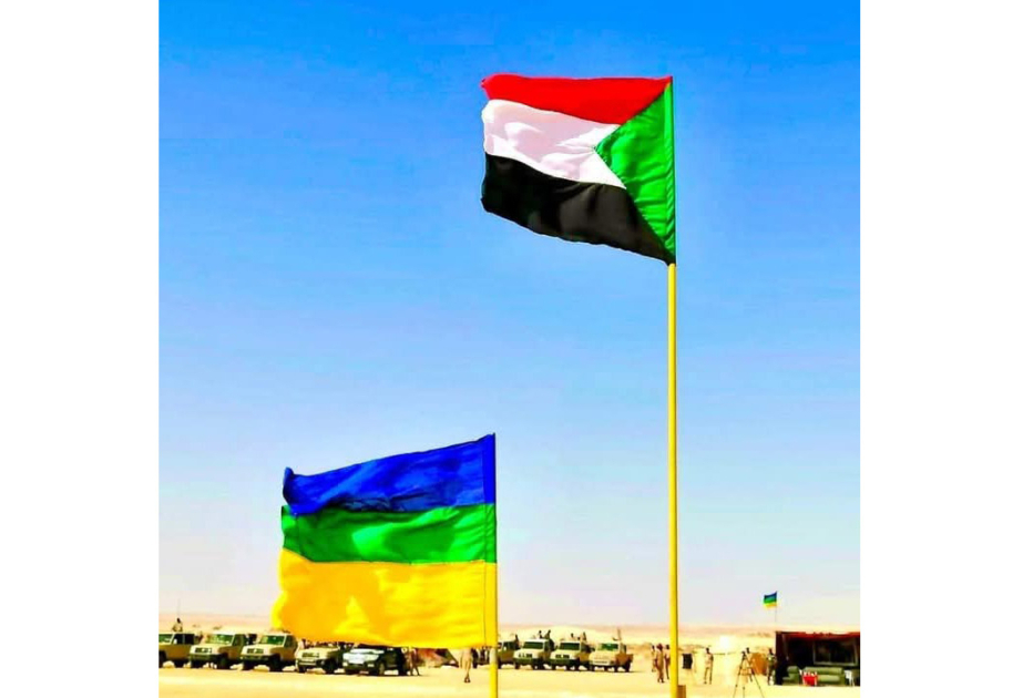 Over 320 casualties in Rapid Support Forces attacks on El Fasher: Sudanese committee