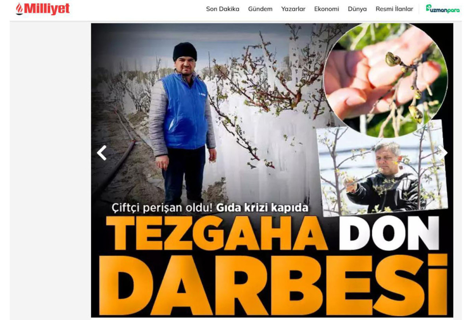 Türkiyədə yaz şaxtaları: onlarla vilayətdə məhsuldarlığın azalacağı proqnozlaşdırılır