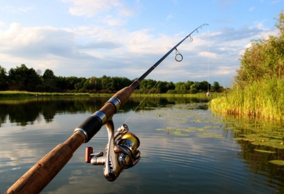 Mongolia announces two and a half months fishing ban