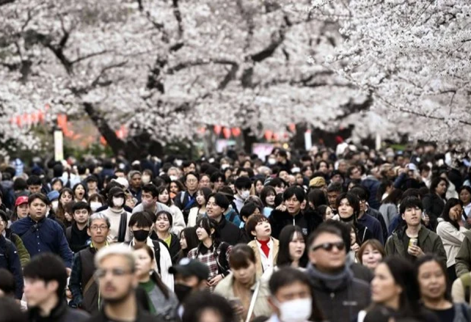 Government estimate shows record decline of Japanese nationals as of October