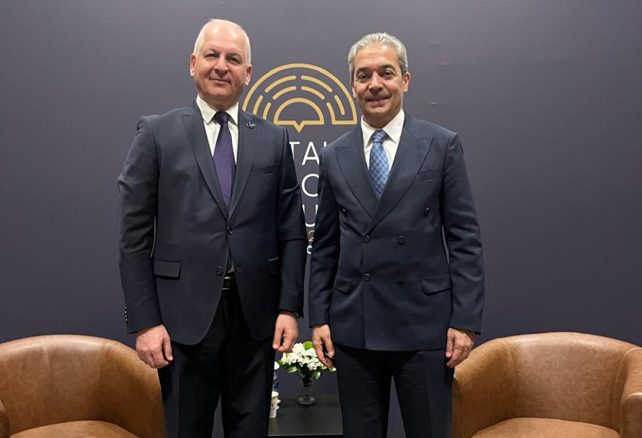 International Turkic Academy, Turkish Ministry of Foreign Affairs discuss prospects for cooperation