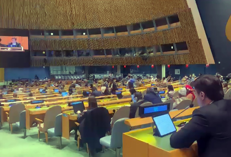 BMT-də Afrikaəsilli xalqların Daimi Forumunun 4-cü sessiyasında Fransanın kolonial siyasəti pislənilib
