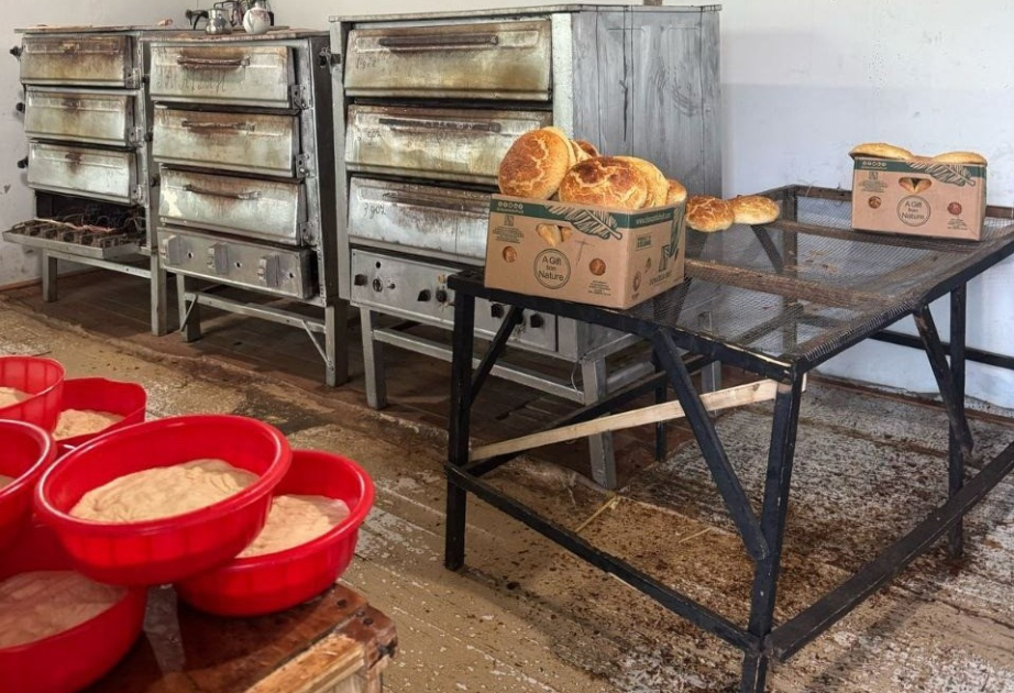 Cəlilabadda çörək istehsalı müəssisəsində ciddi nöqsanlar aşkarlanıb