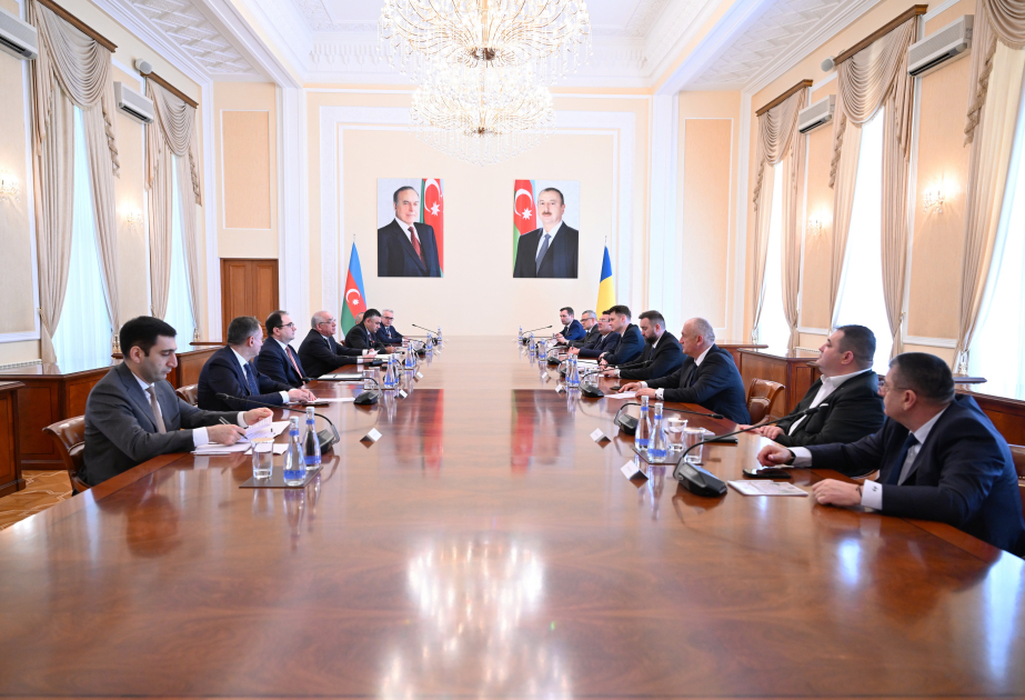 El Primer Ministro de Azerbaiyán se reunió con el Presidente interino del Senado del Parlamento rumano