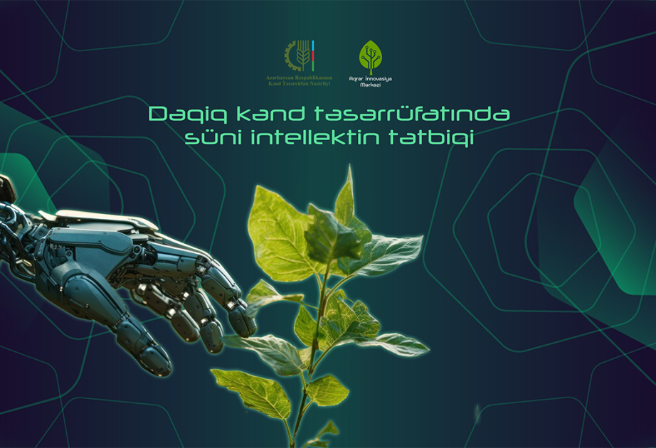 “Dəqiq kənd təsərrüfatında süni intellektin tətbiqi” layihəsinə start verilib