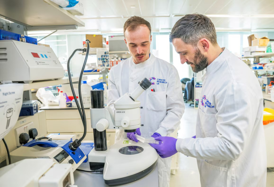 High UK visa costs deter international scientists and engineers