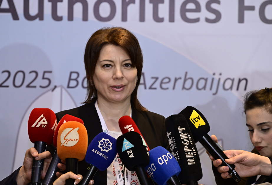 Moldovanın Audiovizual Şurasının sədr müavini: İnternet məkanı uşaqlar üçün təhlükələrlə doludur VİDEO