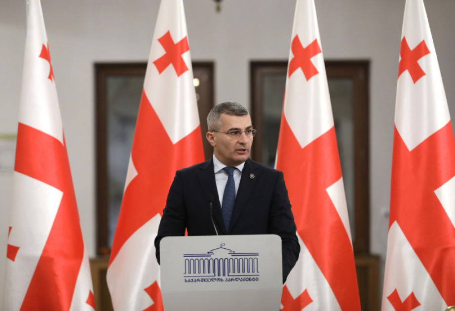 Gürcüstanın ana müxalifət partiyasının ləğvi məsələsi təxirə salınıb