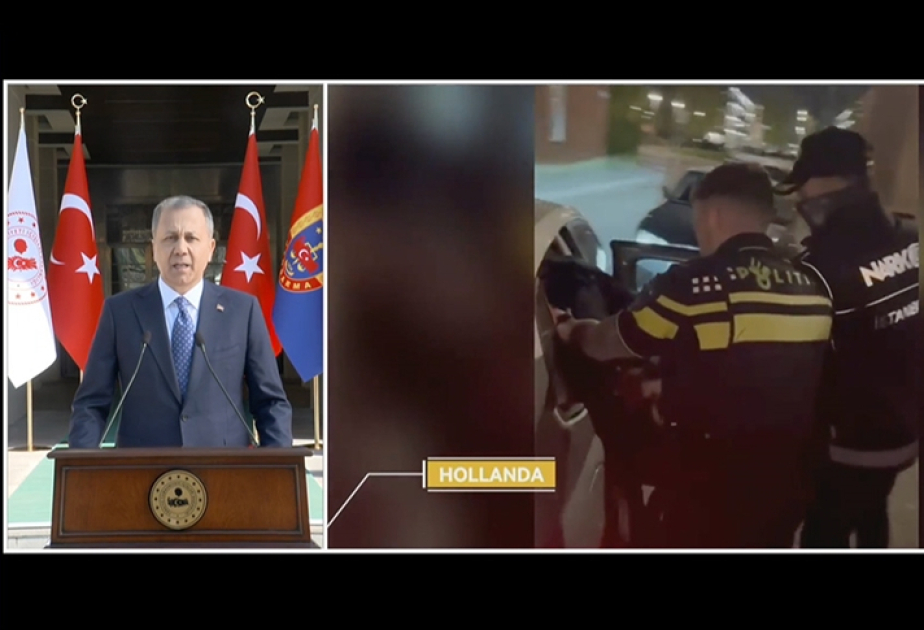 234 senior members of organized crime groups arrested in international drug operation: Turkish interior minister