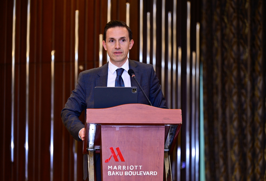 Deniz Güler: Rəqəmsal mediada uşaqların qorunması üçün təcrübəmizi bölüşməyə hazırıq