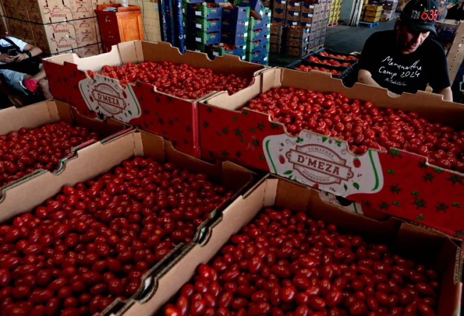 USA kündigen Zölle auf Tomaten aus Mexiko an