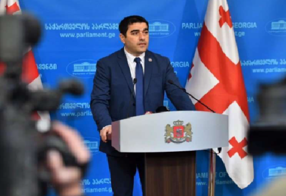 Şalva Papuaşvili: Əgər imkanları olsaydı, Qərbdəki bəzi qüvvələr Gürcüstana tanklarla girərdilər
