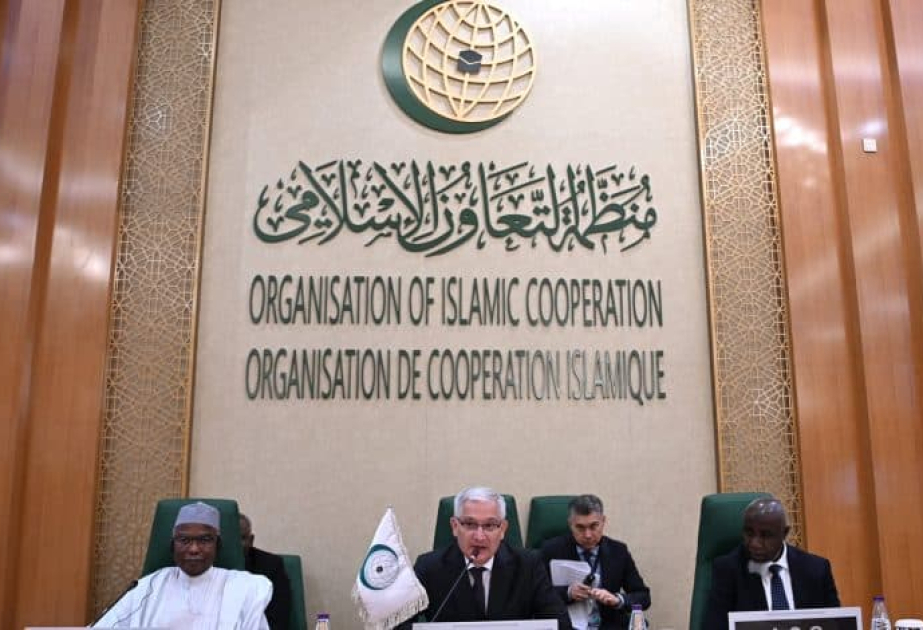La 47e session de la Commission islamique pour les affaires économiques, culturelles et sociales