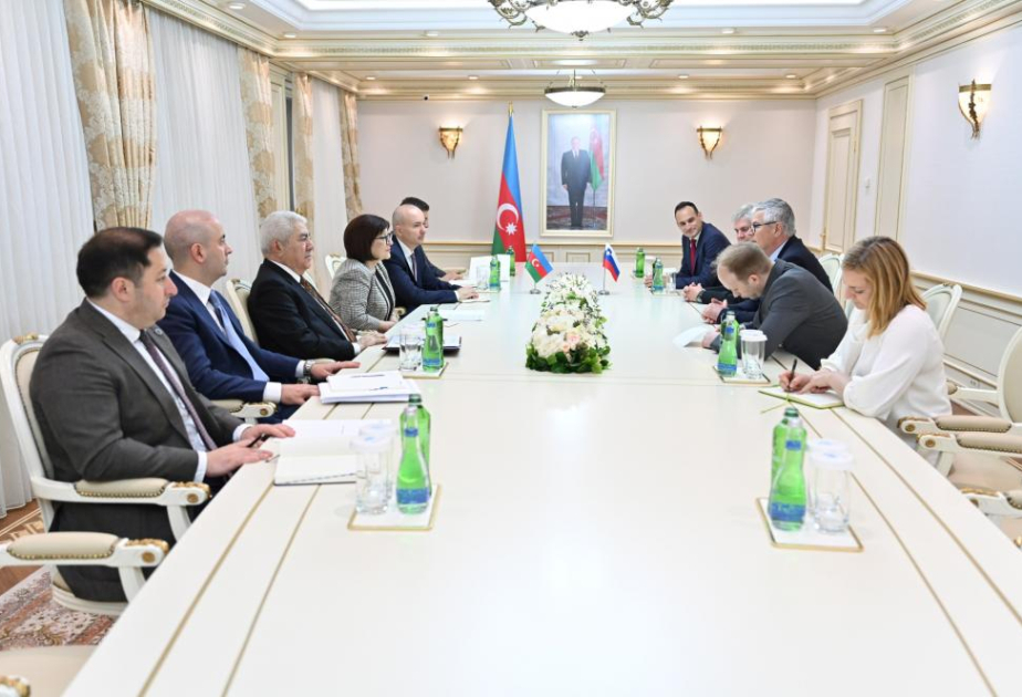 Se debate la cooperación interparlamentaria entre Azerbaiyán y Eslovenia